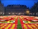 Floral carpet Brussels 2006